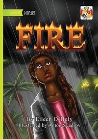 Enlarge image Cover: Fire - Library for All Ltd