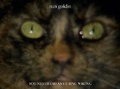 Cover: Nan Goldin - Hayward Gallery Publishing