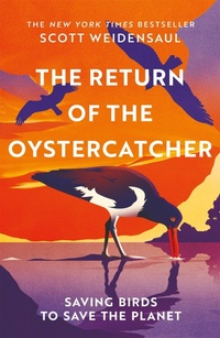 Enlarge image Cover: The Return of the Oystercatcher - Picador