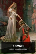 Cover: Domnei - Waking Lion Press