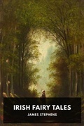 Cover: Irish Fairy Tales - Waking Lion Press