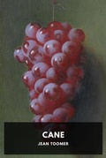 Cover: Cane - Waking Lion Press