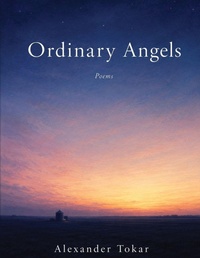 Enlarge image Cover: Ordinary Angels - Star Light Press