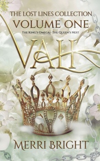 Enlarge image Cover: Vali - Merri Bright