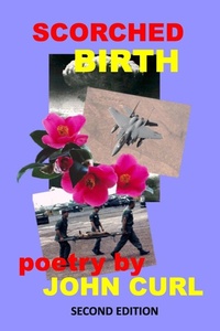 Enlarge image Cover: Scorched Birth - Homeward Press
