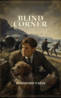 Enlarge image Cover: Blind Corner - Caelwick Press