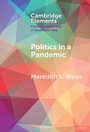 Cover: Politics in a Pandemic - Cambridge University Press