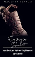 Cover: Eingefangene Schonheit - Babelcube