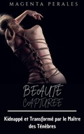 Cover: Beaute Capturee - Babelcube