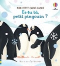 Cover: Es-tu la, petit pingouin ? - Usborne Publishing Ltd