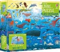 Cover: Les oceans - Editions Usborne