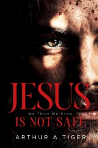 Enlarge image Cover: Jesus Is Not Safe: The Jesus We Think We Know ? and the One the Gospels Reveal - His Story for Us