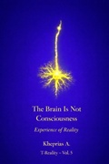 Cover: Why the Brain Does Not Produce Consciousness - UK Edition - Why the Brain Does Not Produce Consciousness - UK Edition