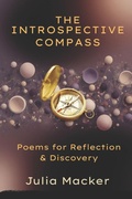 Cover: The Introspective Compass - The Introspective Compass