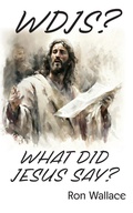 Cover: WDJS? - Independently Published