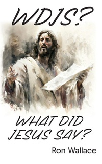 Enlarge image Cover: WDJS? - Independently Published