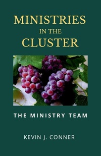Enlarge image Cover: Ministries in the Cluster - Independently Published