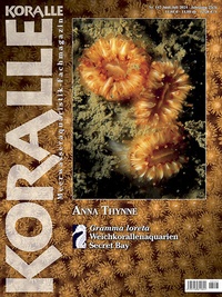 Abbildung von: Koralle - Natur und Tier - Verlag