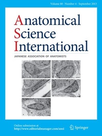 Abbildung von: Anatomical Science International - Springer