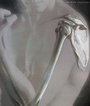 Cover: Human Anatomy - Prentice Hall