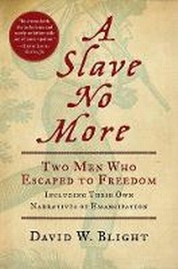 Abbildung von: A Slave No More - Houghton Mifflin