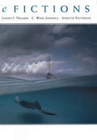 Enlarge image Cover: eFictions - Heinle & Heinle Publishers Inc.,U.S.