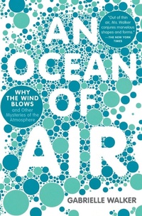 Abbildung von: An Ocean of Air - Harper Perennial