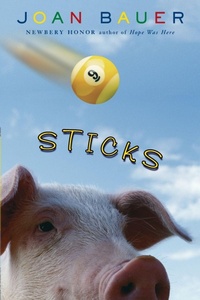 Enlarge image Cover: Sticks - Speak