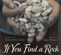 Cover: If You Find a Rock - Voyager Books,U.S.
