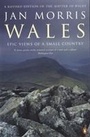 Cover: Wales - Penguin Books Ltd