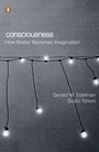 Cover: Consciousness - Penguin Books Ltd