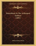 Bild: Neuroblasts In The Arthropod Embryo (1891) - Kessinger Publishing