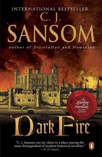 Enlarge image Cover: Dark Fire - Penguin USA