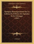 Cover: Quelques Renseignements Sur La Culture De L'Olivier Du Sapindus Et De L'Oranger (1907) - Kessinger Publishing