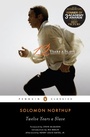 Cover: Twelve Years a Slave - Penguin Classics