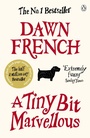 Cover: A Tiny Bit Marvellous - Penguin Books Ltd
