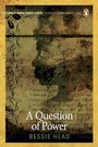 Cover: A Question of Power - Penguin Books (South Africa)