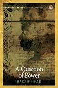 Cover: A Question of Power - Penguin Books (South Africa)