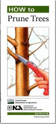 Abbildung von: How to Prune Trees - Forest Service
