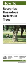 Bild: How to Recognize Hazardous Defects in Trees - Forest Service