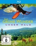 Cover: Das gr&uuml;ne Wunder - Unser Wald - polyband Medien