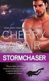 Enlarge image Cover: Stormchaser - St. Martin's Press