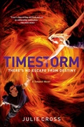 Cover: Timestorm - St. Martin's Griffin