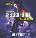 Cover: Black Ice - Farrar Straus Giroux