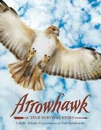 Enlarge image Cover: Arrowhawk - St Martin's Press