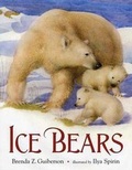 Cover: Ice Bears - Square Fish