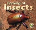 Cover: Looking at Insects - Cengage Learning Australia