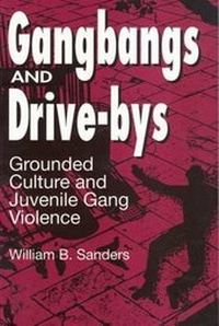Enlarge image Cover: Gangbangs and Drive-Bys - AldineTransaction