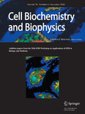 Abbildung von: Cell Biochemistry and Biophysics - Springer