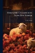 Cover: Heilsame Gedancken Von Der Sunde - Nabu Press